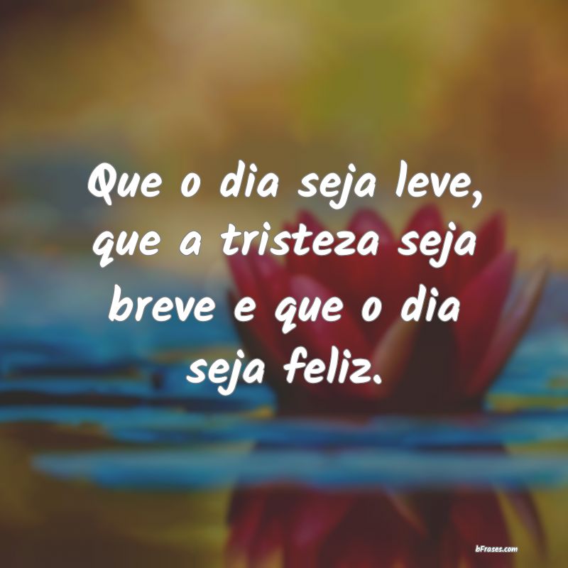 Frases de Bom Dia para desejar alegremente bom dia às