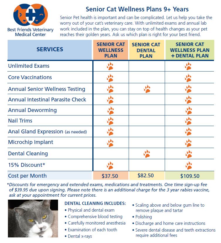 Wellness Care in Portland, Oregon Best Friends Veterinary Medical Center