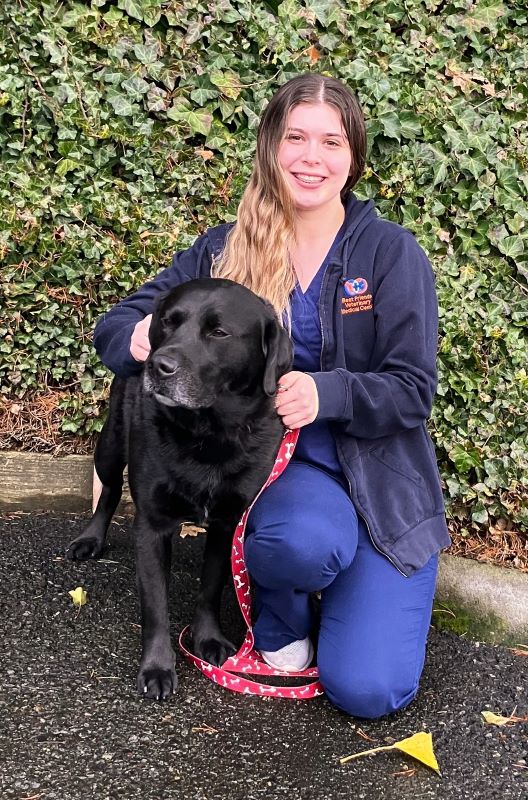 Our Team Best Friends Veterinary Medical Center