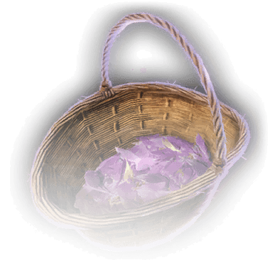 Autumncrocus - bg3.wiki