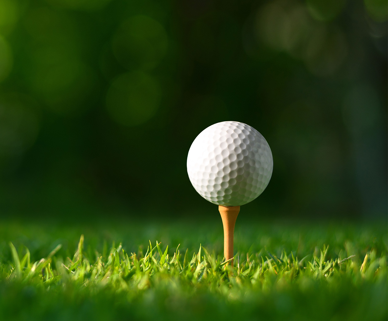 Membership Fee Boys & Girls Clubs of Grand Rapids