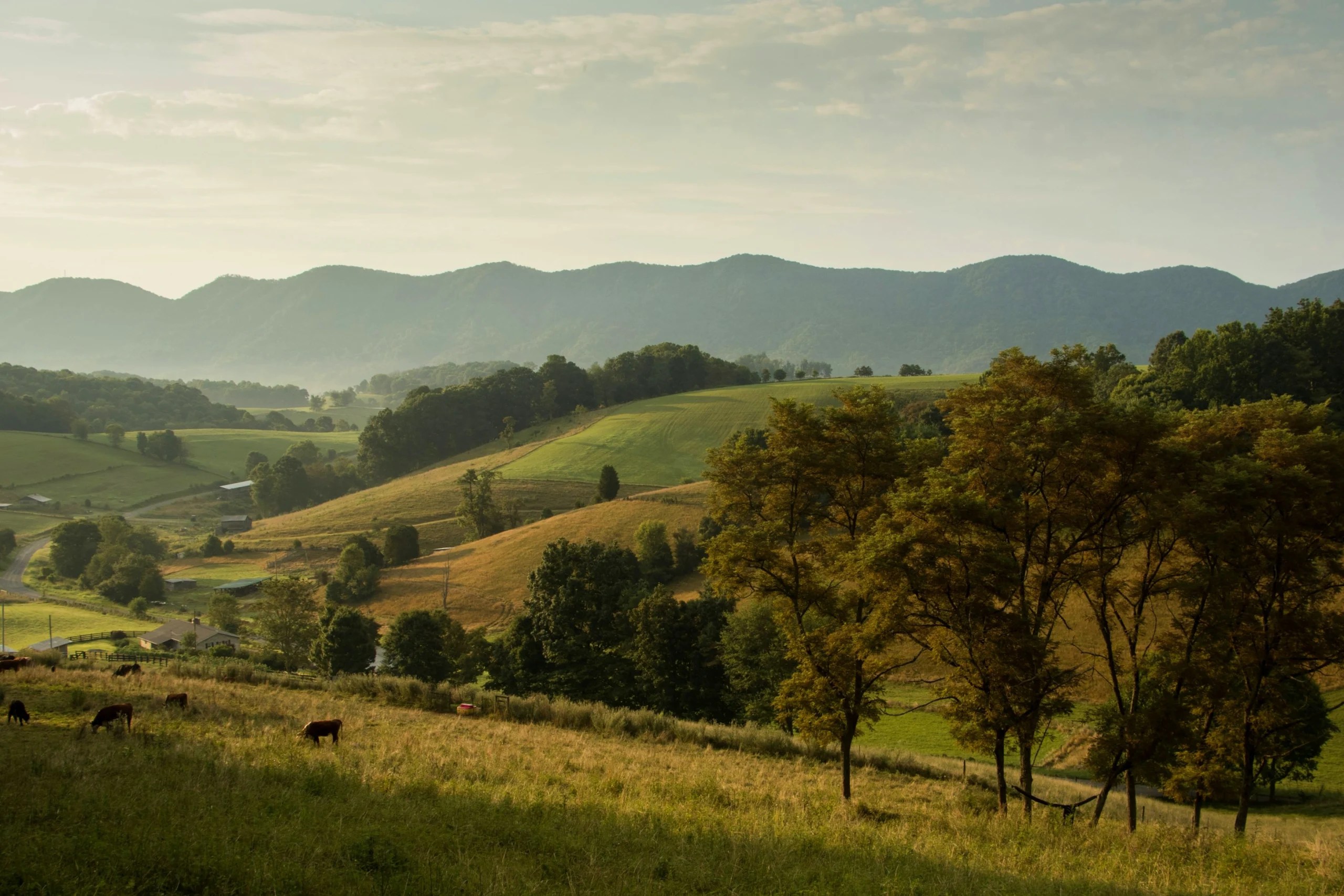 Locations BGDC Distribution