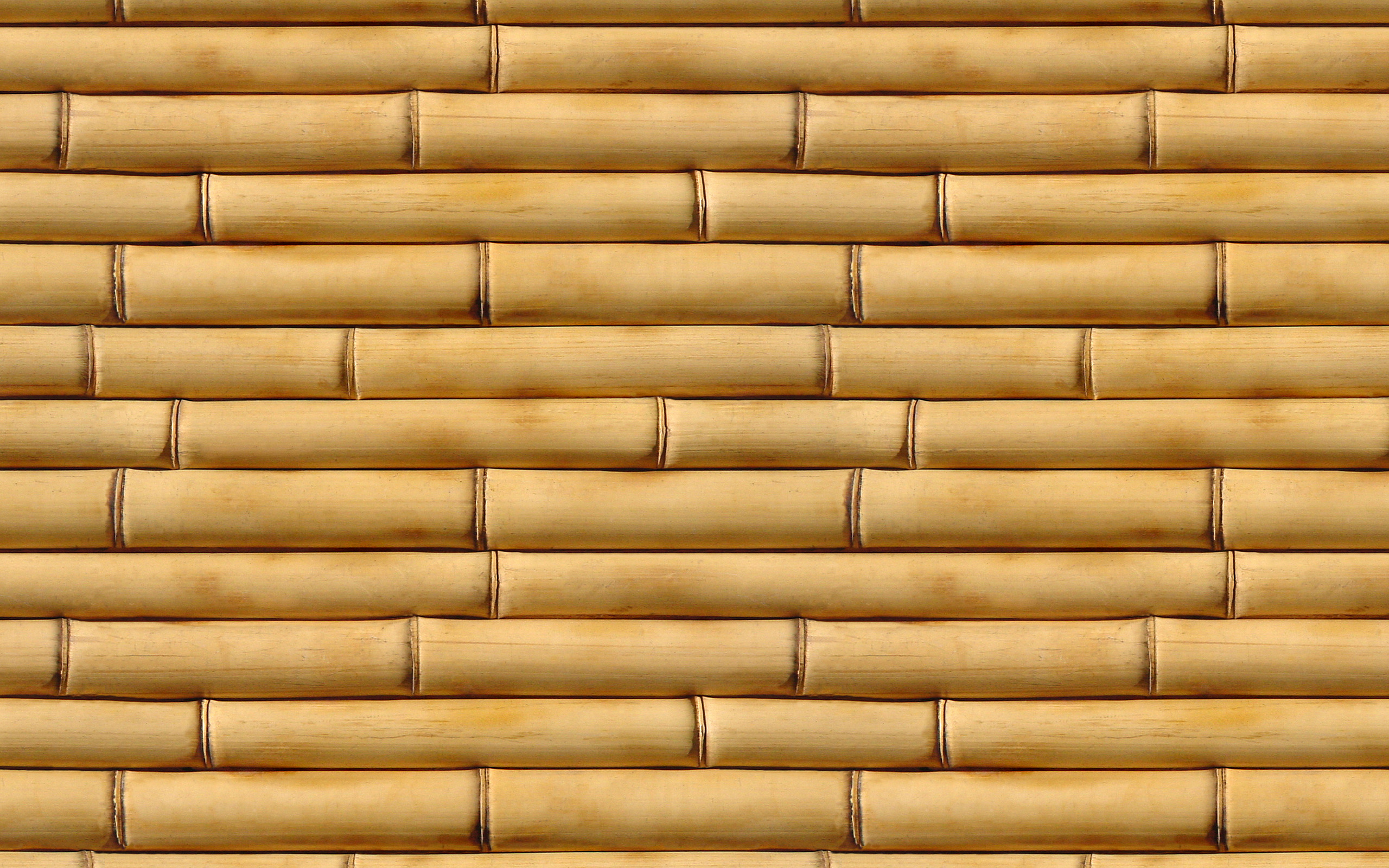 bamboo, texture bamboo , bamboo texture, photo, background