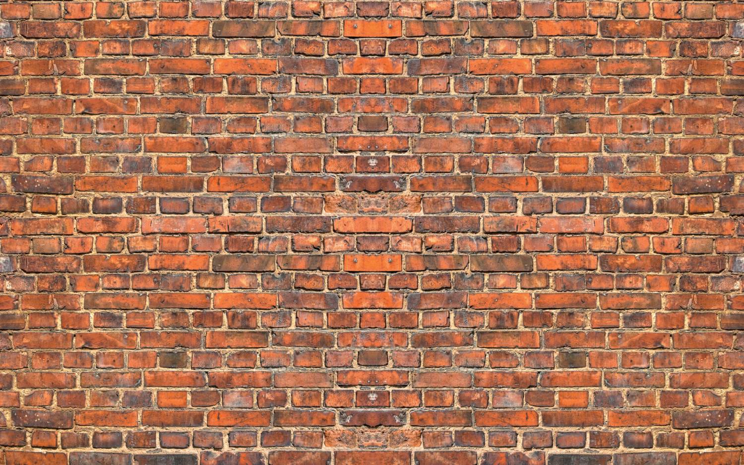 brick wall, texture, bricks, brick wall texture, background, download