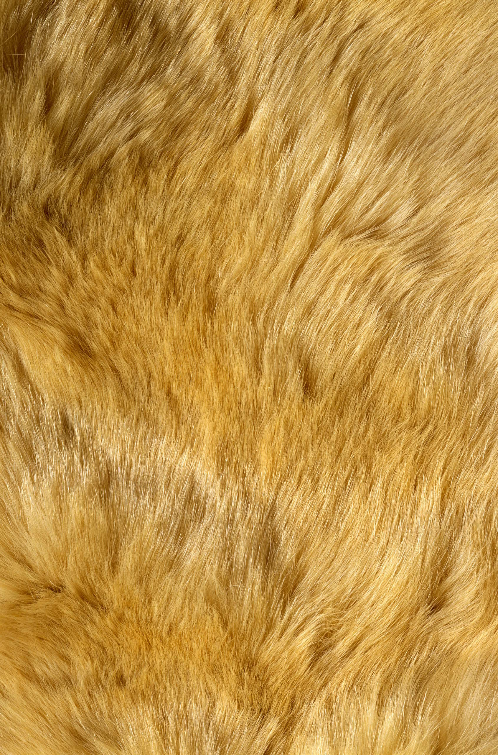 fur, texture of fur skins, fur texture background