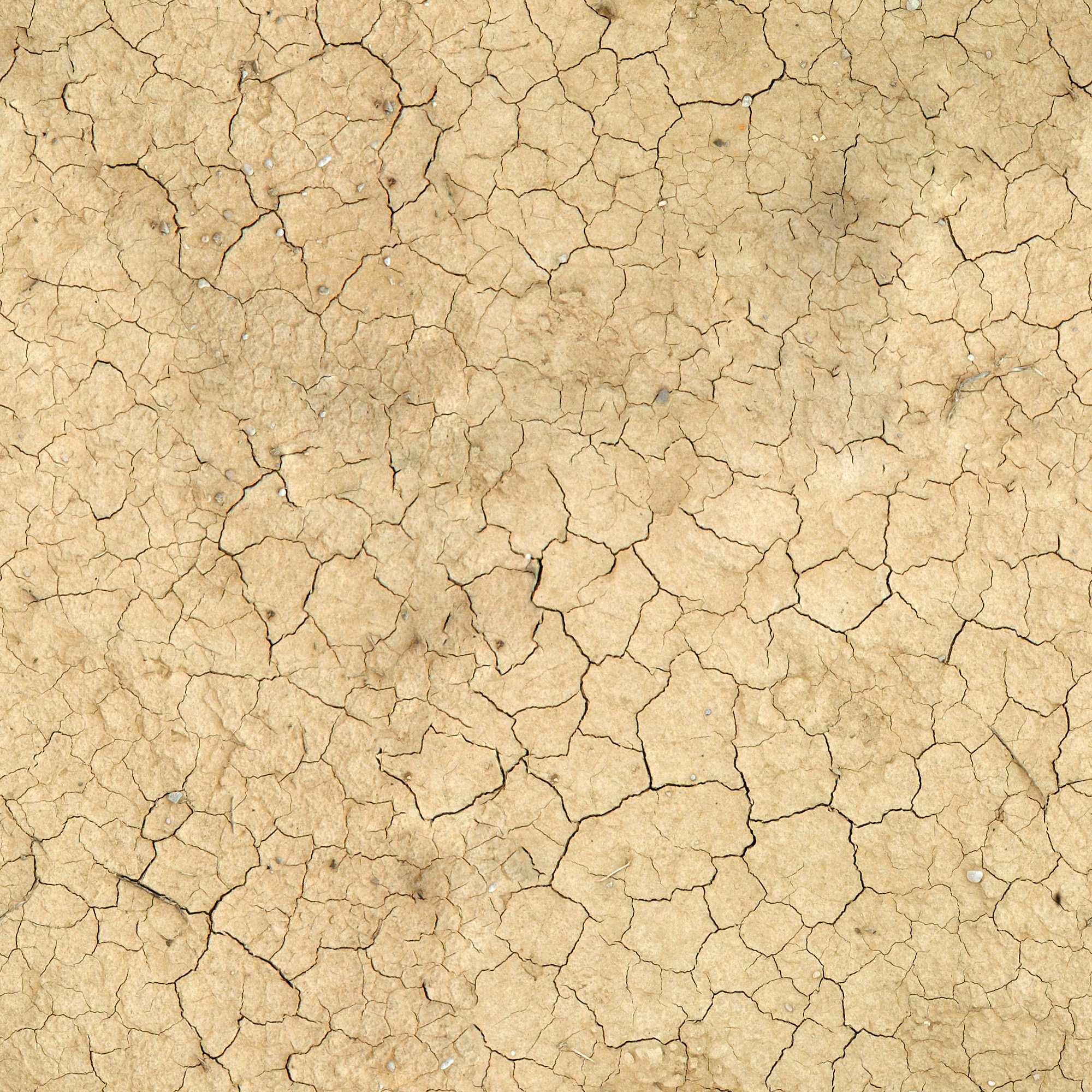 Land, land texture, ground texture, download photos