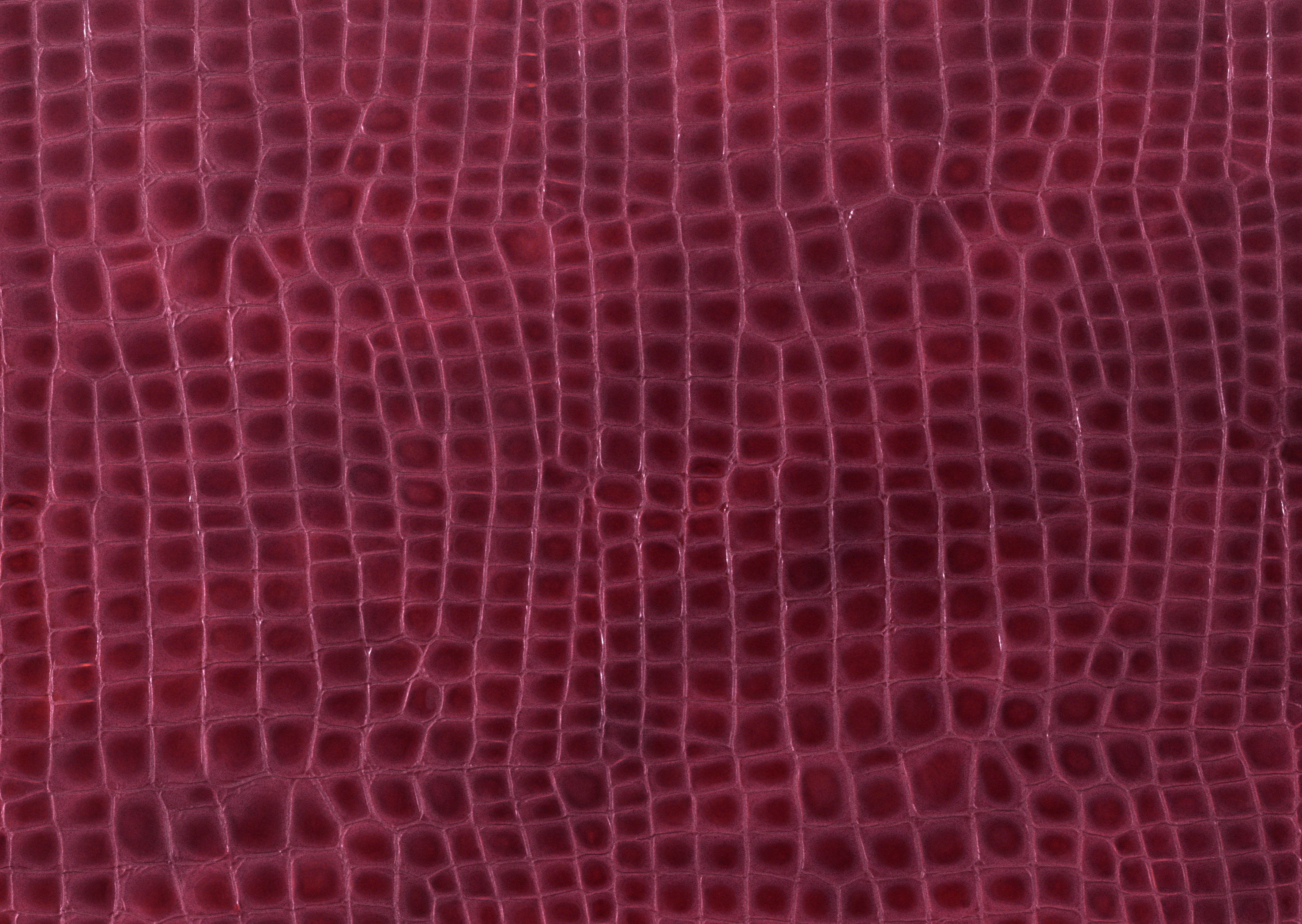 Leather texture background image