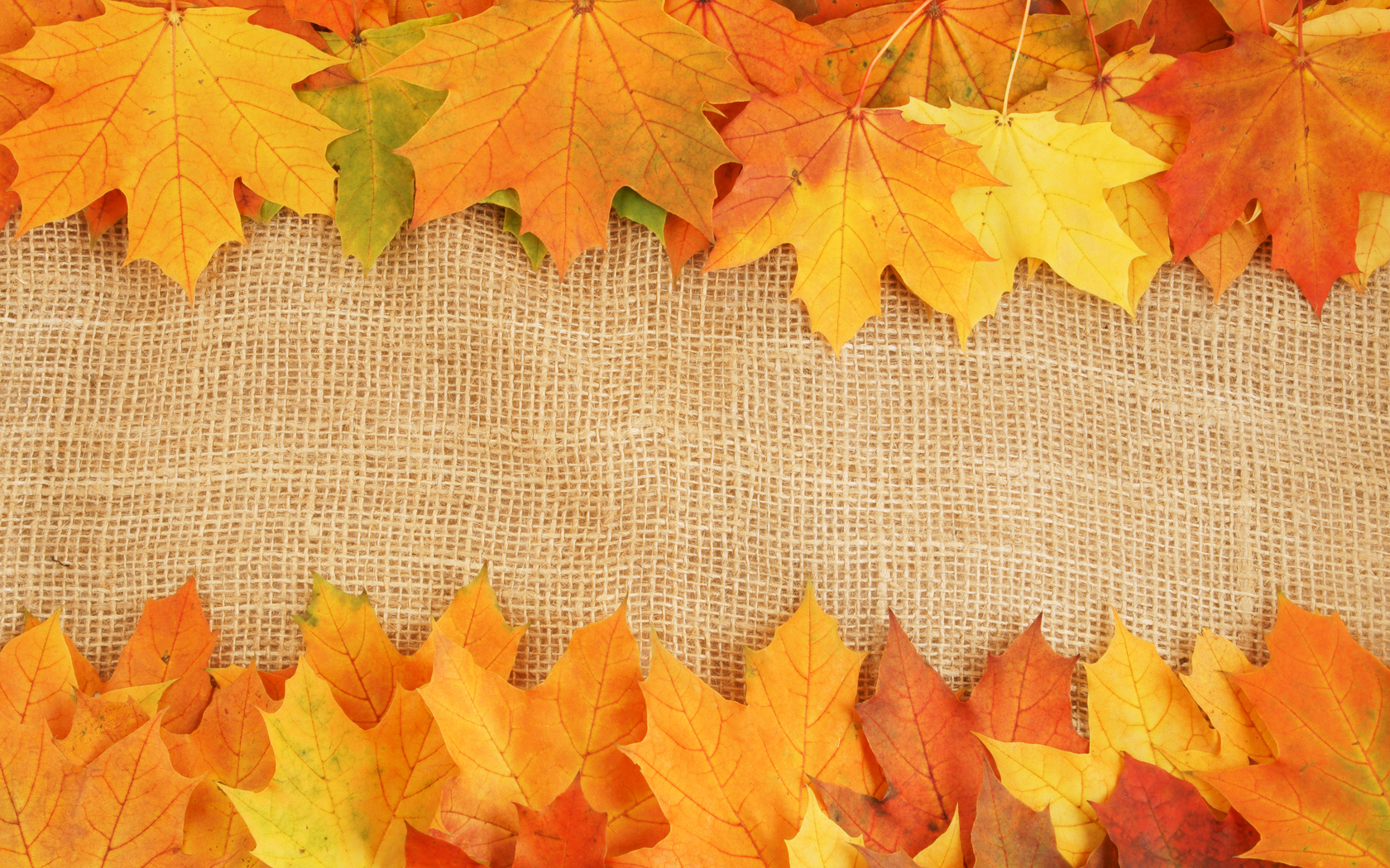 autumn leaves textures, download photo, background, background, autumn