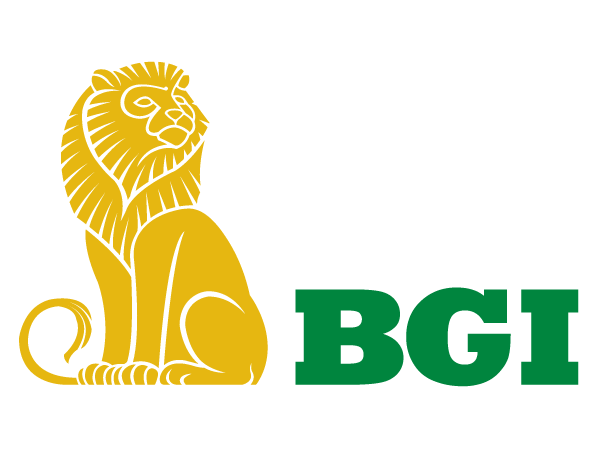 Law Firm Bg International Pllc New York