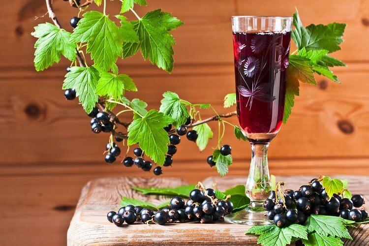 Homemade black and red currant wine 6 recipes