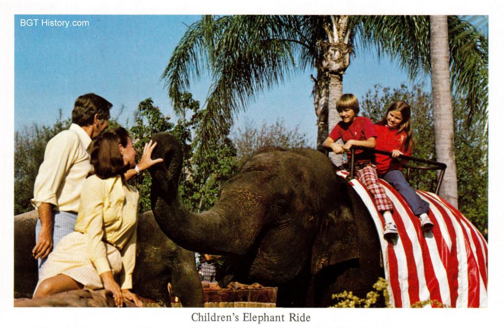Elephant Ride BGT History Busch Gardens Tampa History