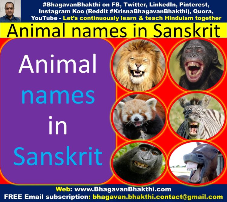Animal names in Sanskrit (with synonyms) (In Sanskrit, Kannada, English