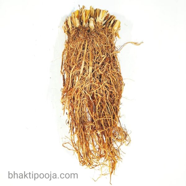 Khus Grass Root Herb Bhakti Pooja
