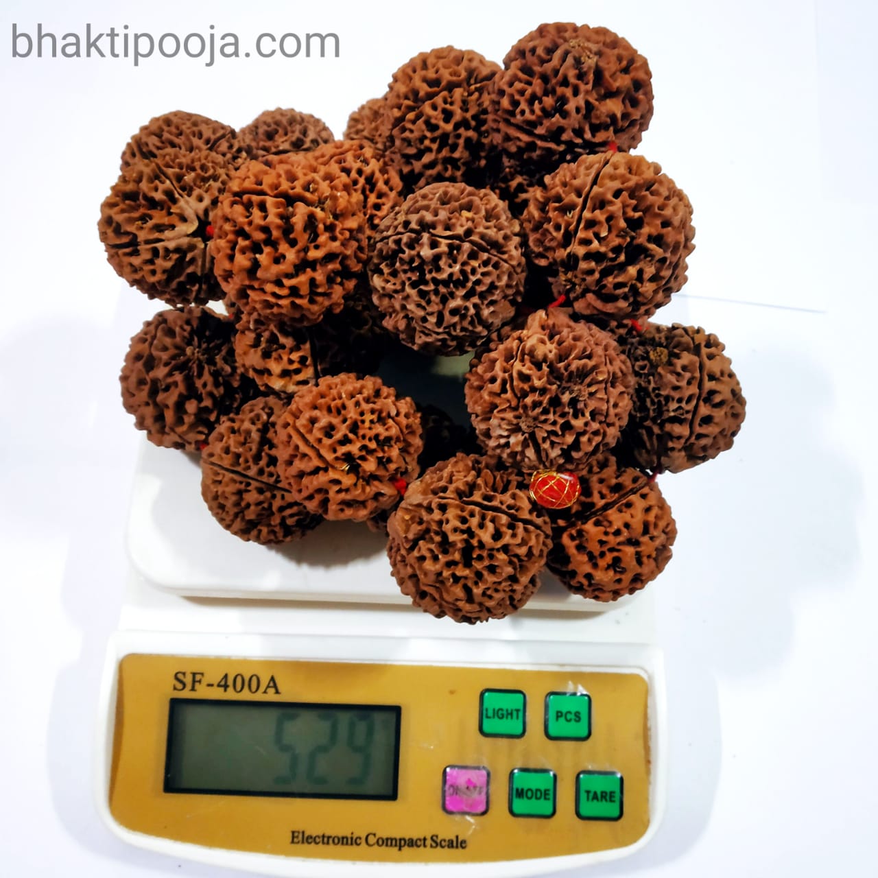Biggest Size Rudraksha Kantha 27 beads Bhakti Pooja