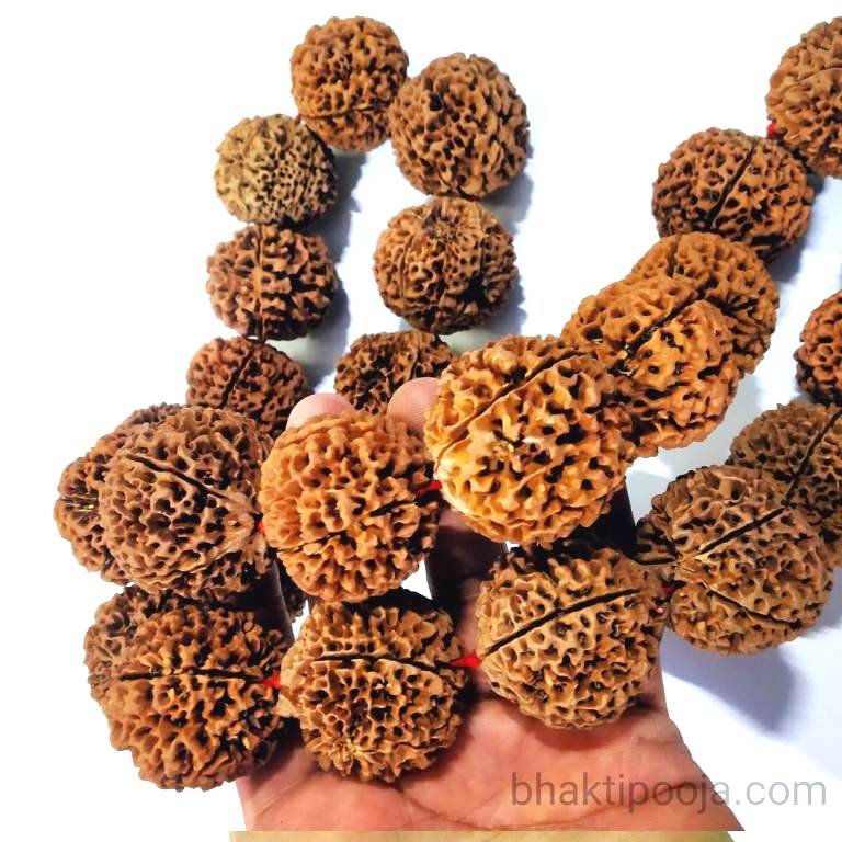 Biggest Size Rudraksha Kantha 27 beads Bhakti Pooja