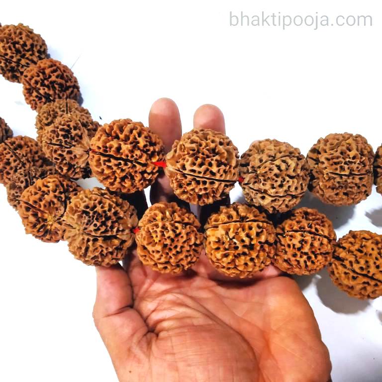 Biggest Size Rudraksha Kantha 27 beads Bhakti Pooja