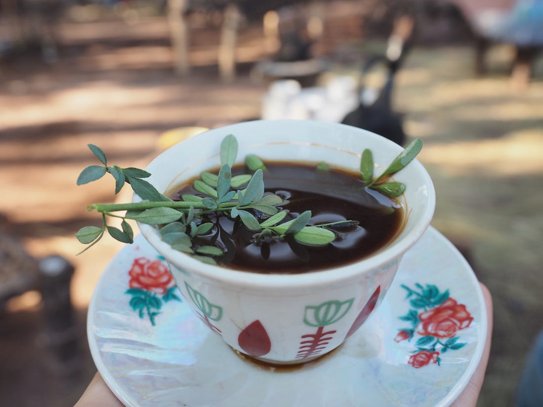 Ethiopian Coffee Ceremony at Asters • Bhavana World Project