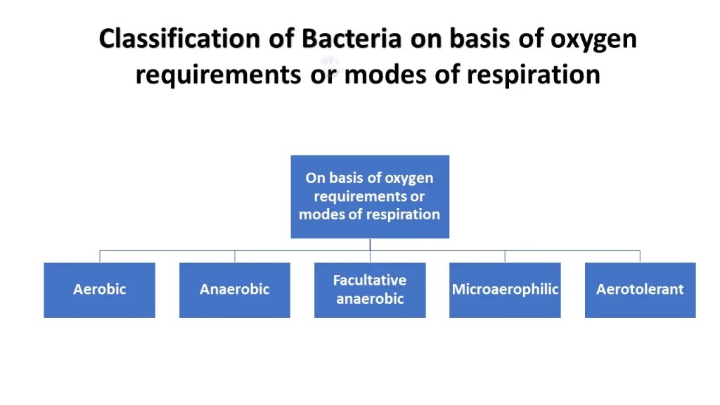Food Microbiology (Bacteria, Virus, Yeast and Mold) Food Science and