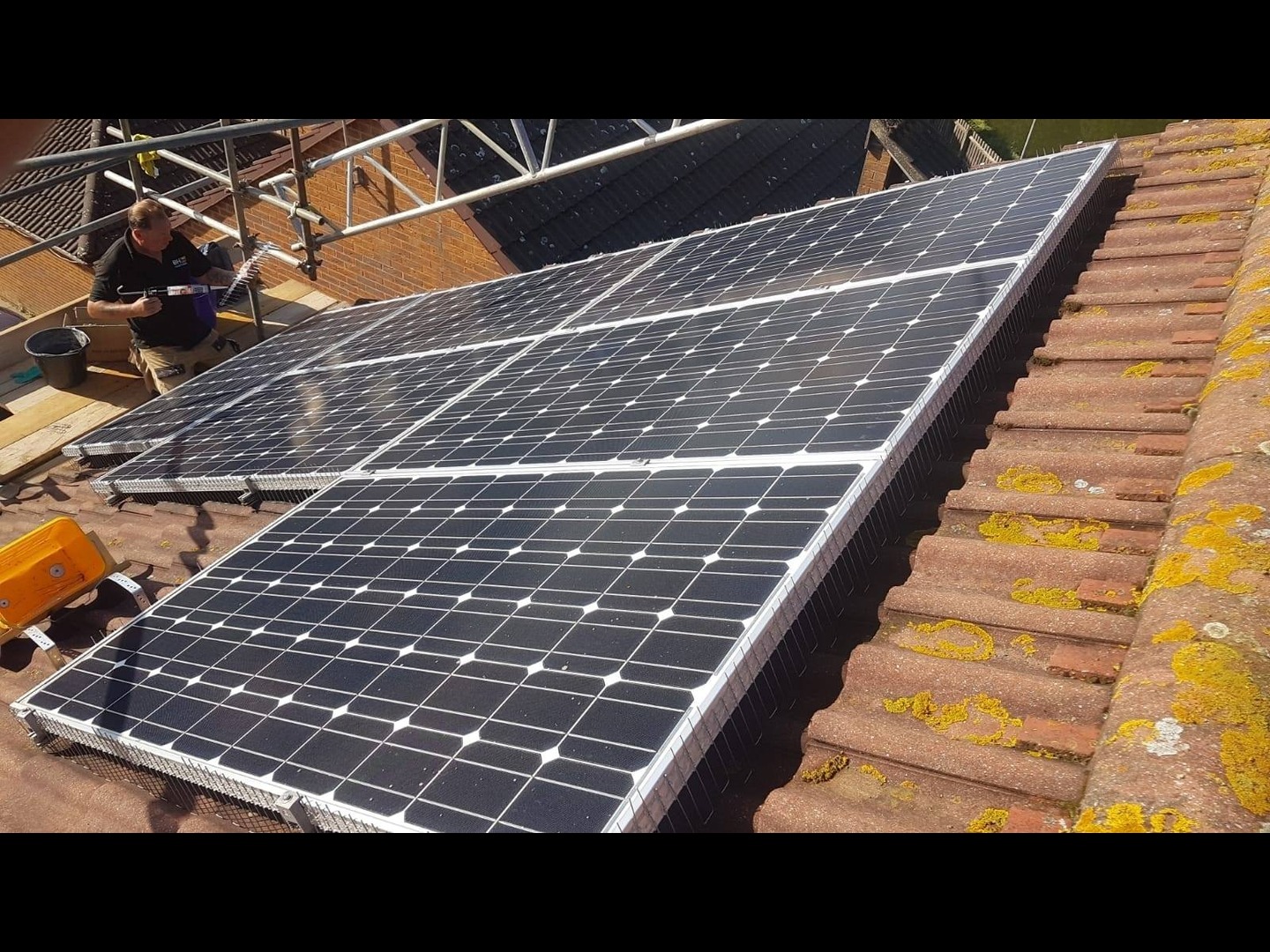 Pigeon Proofing Solar Panels Milton Keynes BH Pest Control