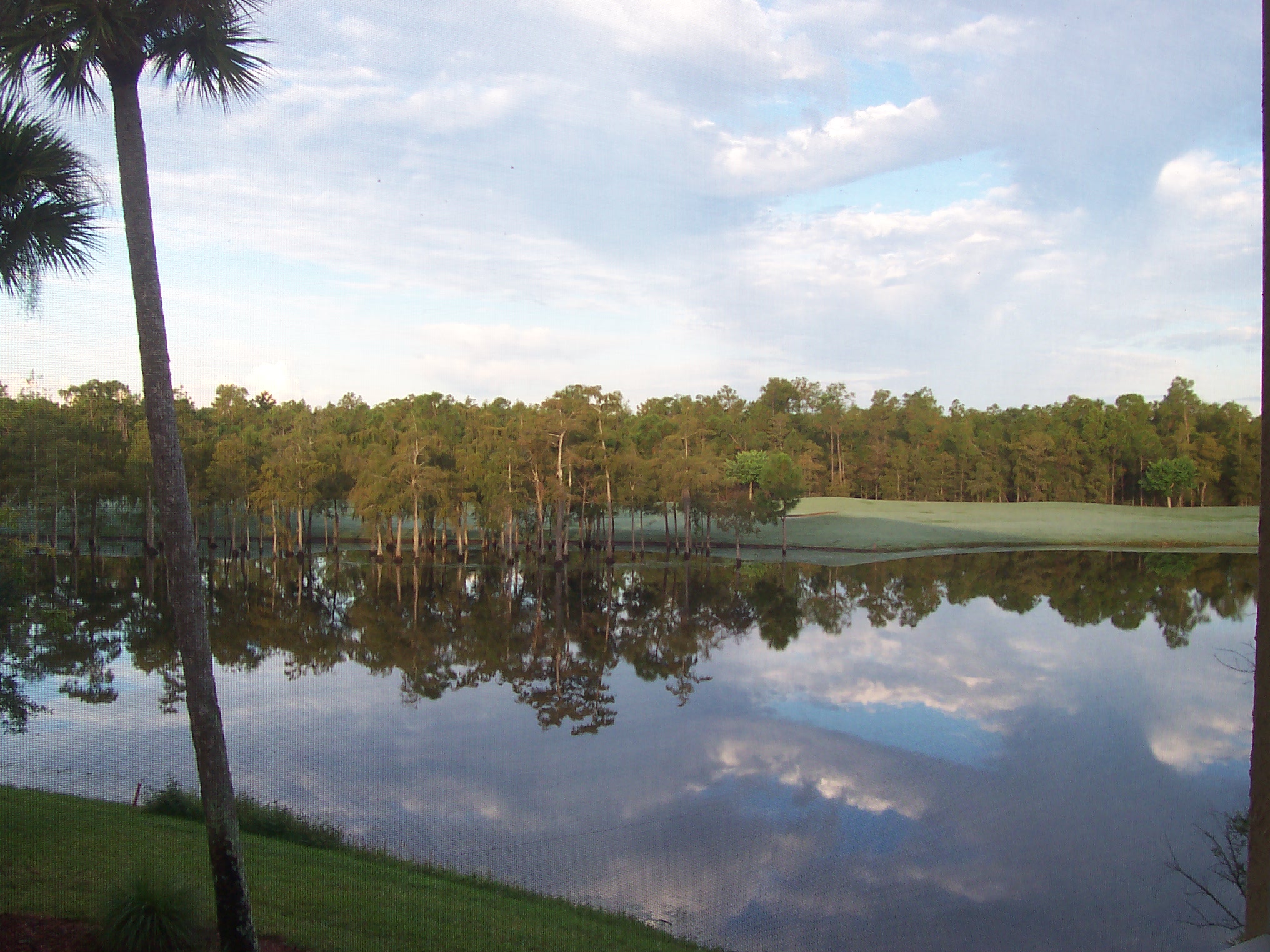 8600 Cedar Hammock Cr. 1322 Blue Heron Realty of Naples