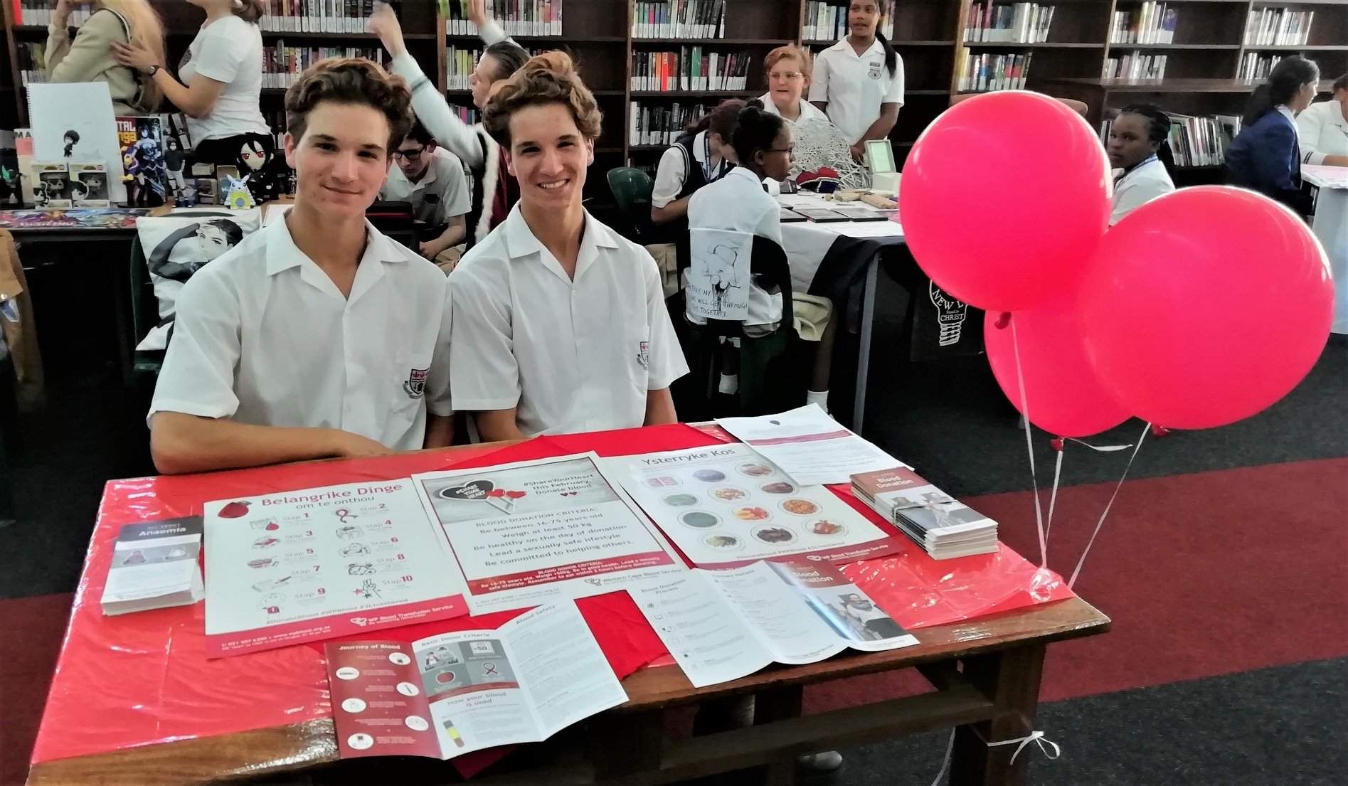 Gallery Bergvliet High School