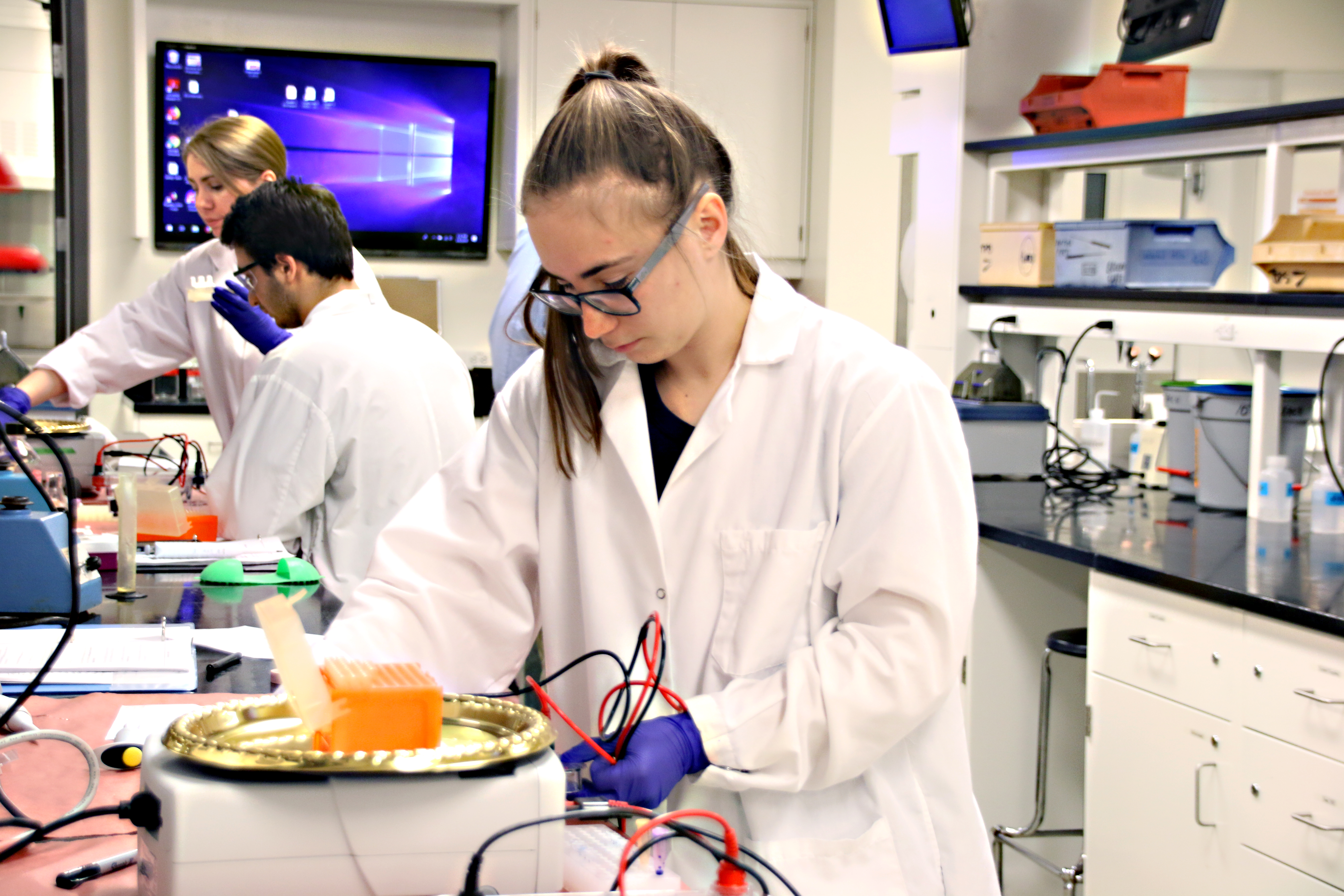 Program Structure Bachelor of Health Sciences Queen's
