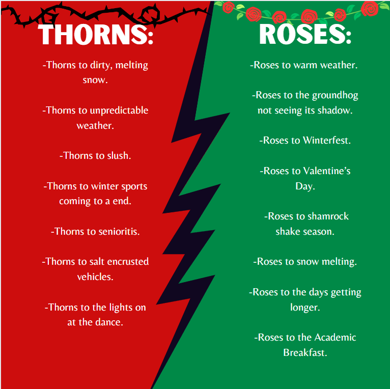 Roses and Thorns February edition The Red ‘n’ Green