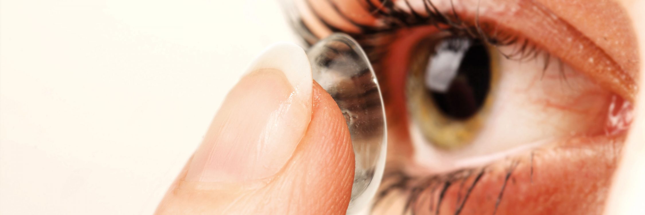 OrthoK Contact Lenses Hodd & Tam Optometry