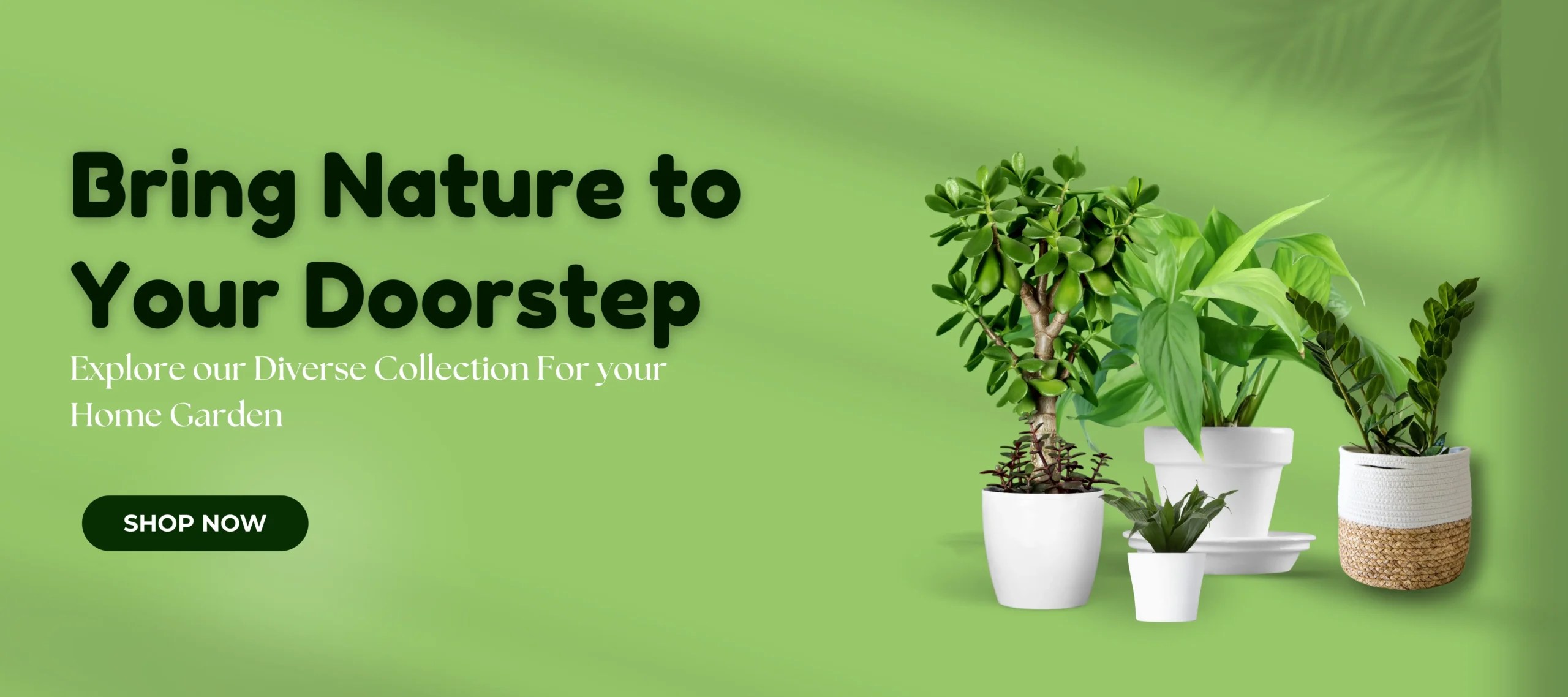 Online Plant Nursery Ghaziabad Buy Garden Accessories