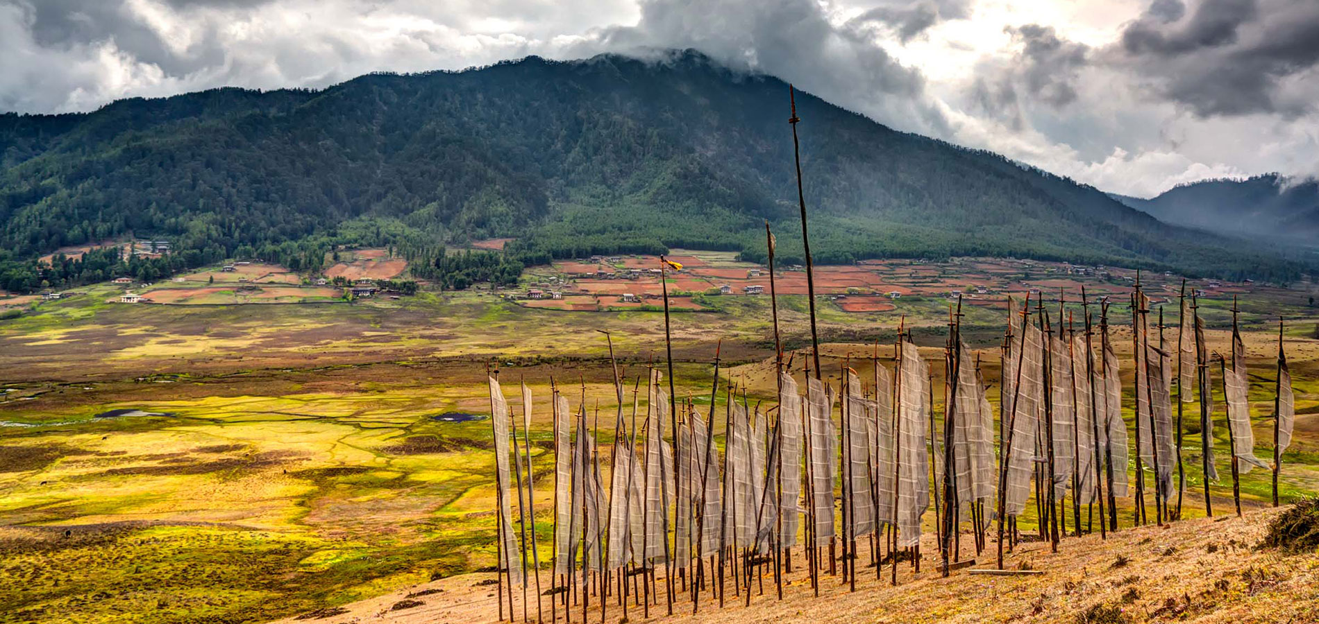 Bon Voyage Tours & Treks