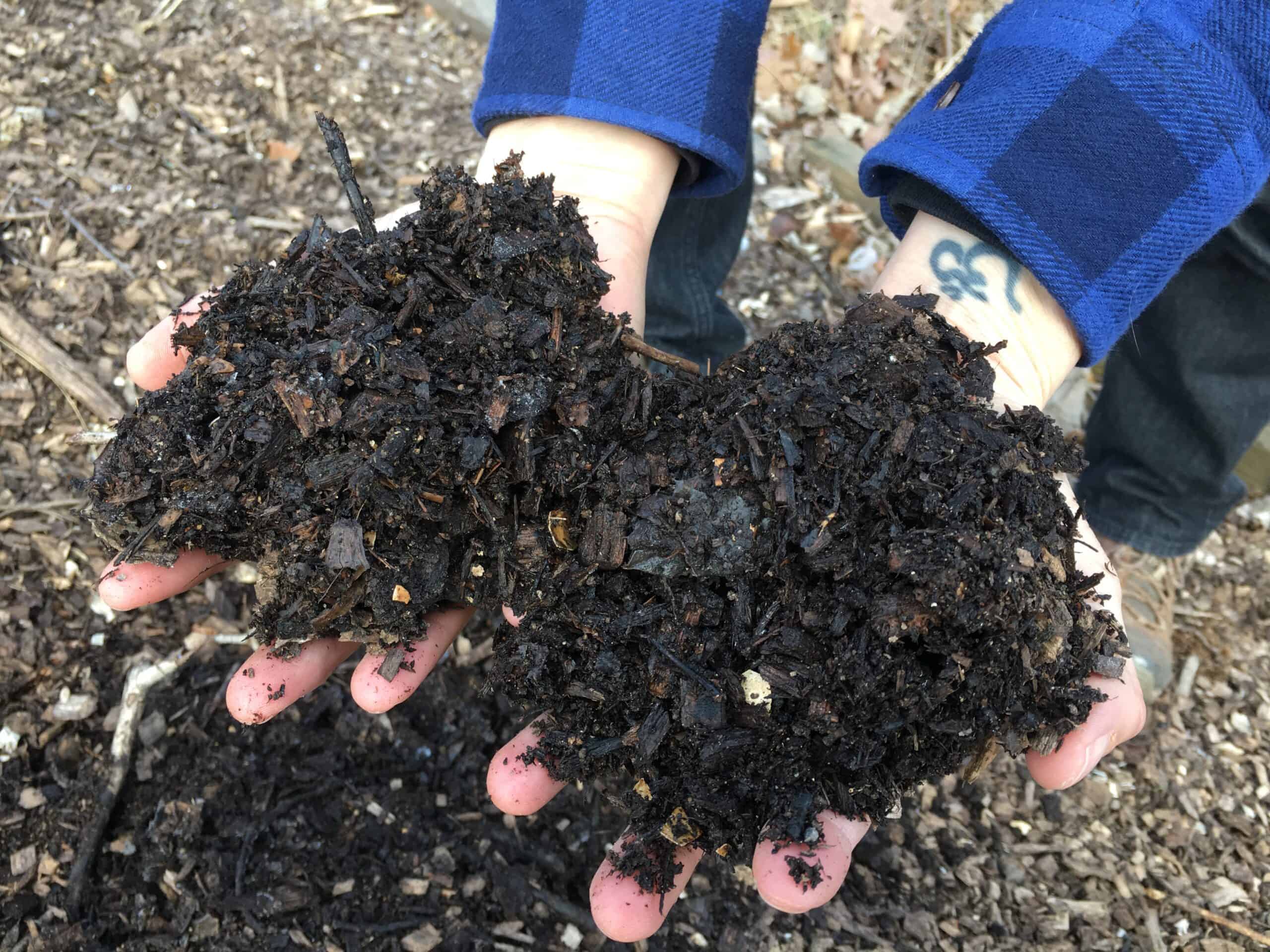 Bowman's Hill Wildflower Preserve