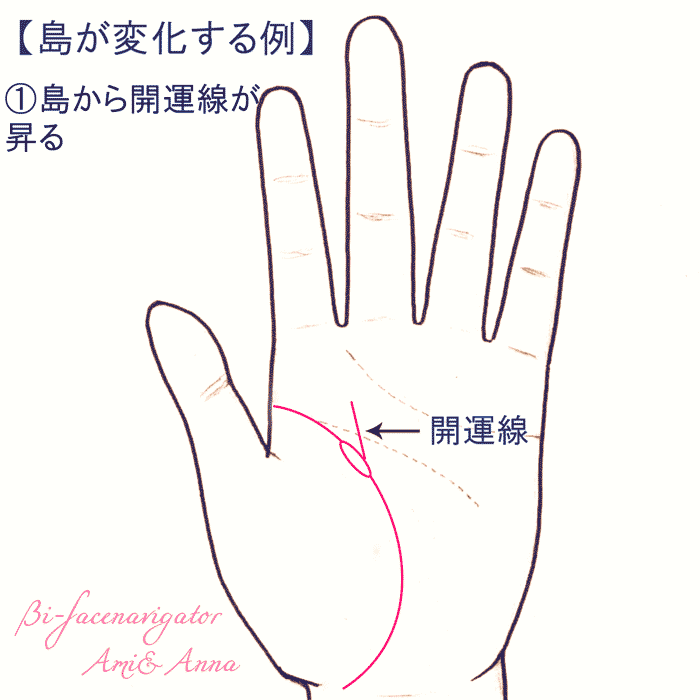 手相は変化する！生命線の島や手相の線が変化する様子を写真で解説！ 美・フェイスナビゲーター