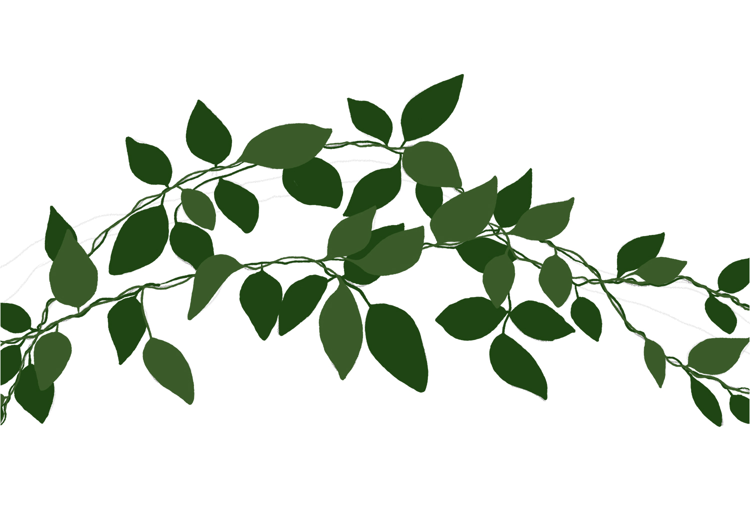 How to Draw Vines Design School