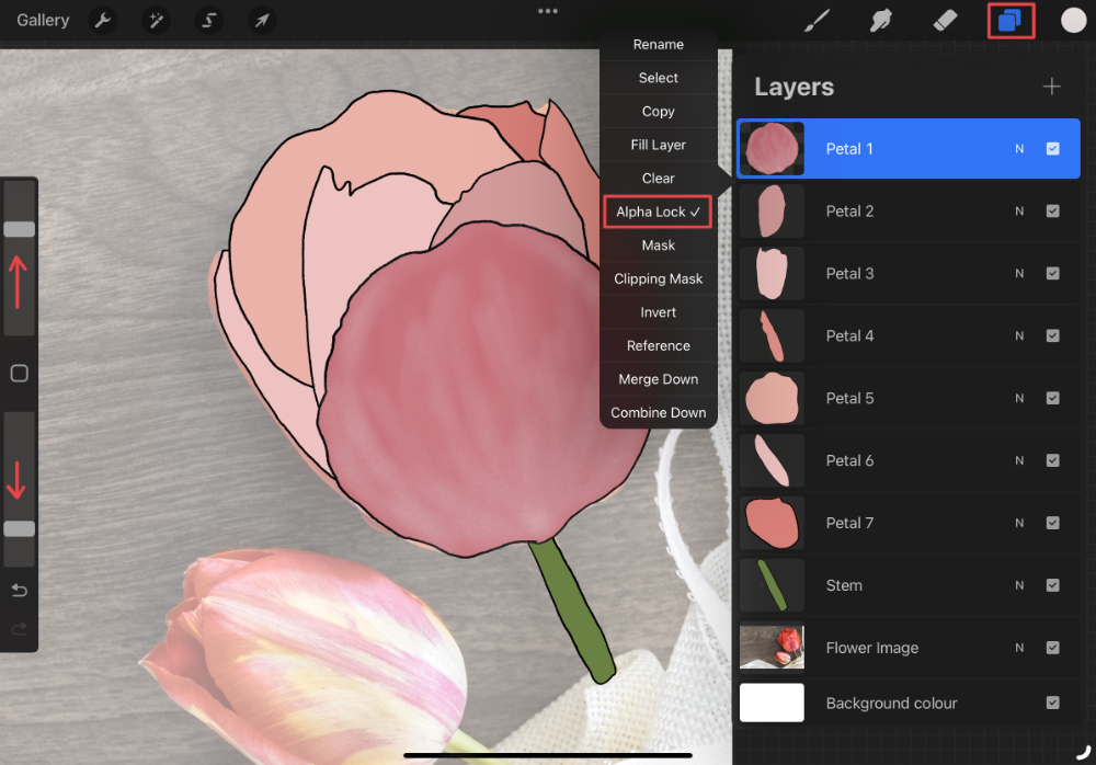 How to Trace an Image in Procreate Design School