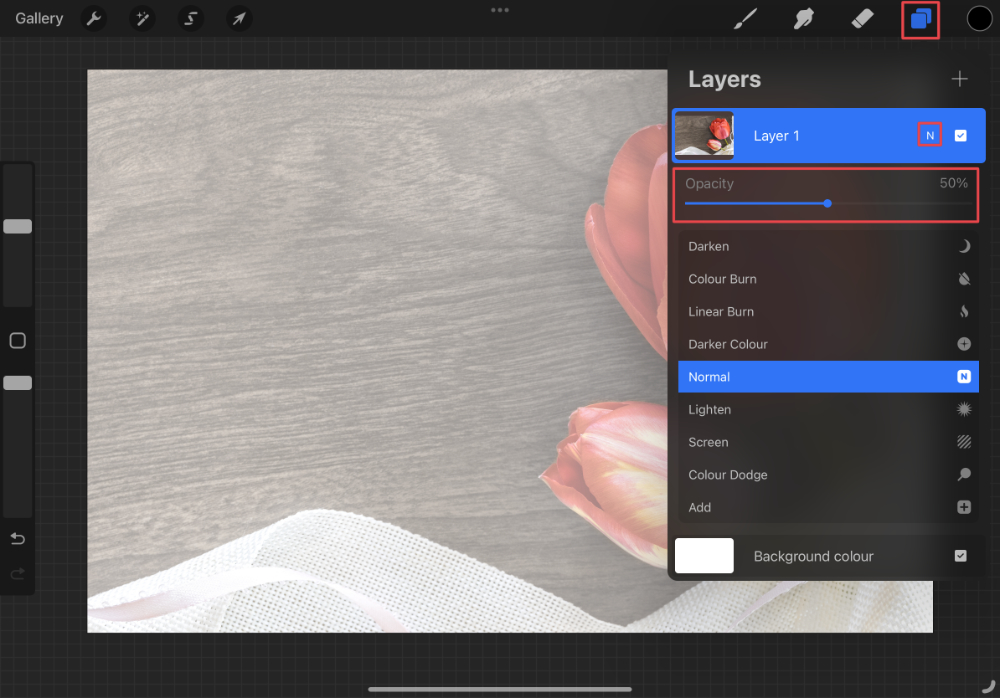 How to Trace an Image in Procreate Design School
