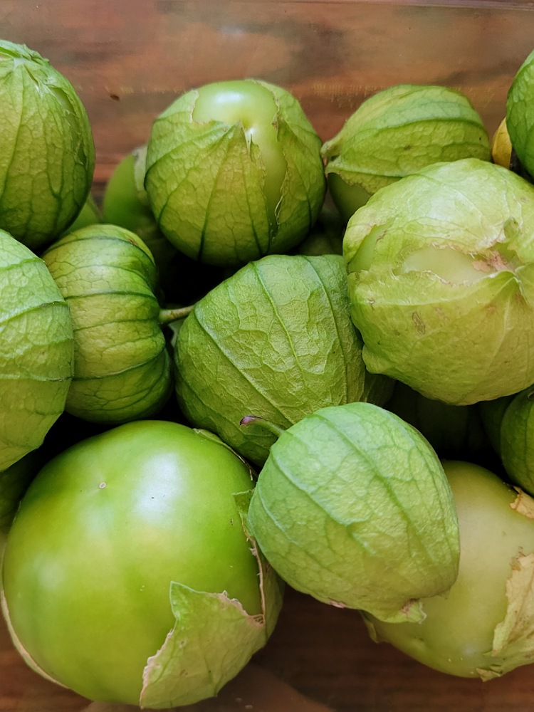 Tomatillos 1 quart Bibb Forest Farm Regenerative, organically grown