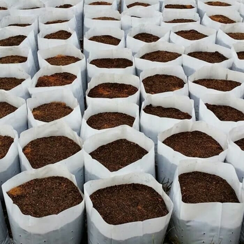 Jual Plastik Polybag Polibag Tanaman Hidroponik PE Putih 30 × 30 cm 0