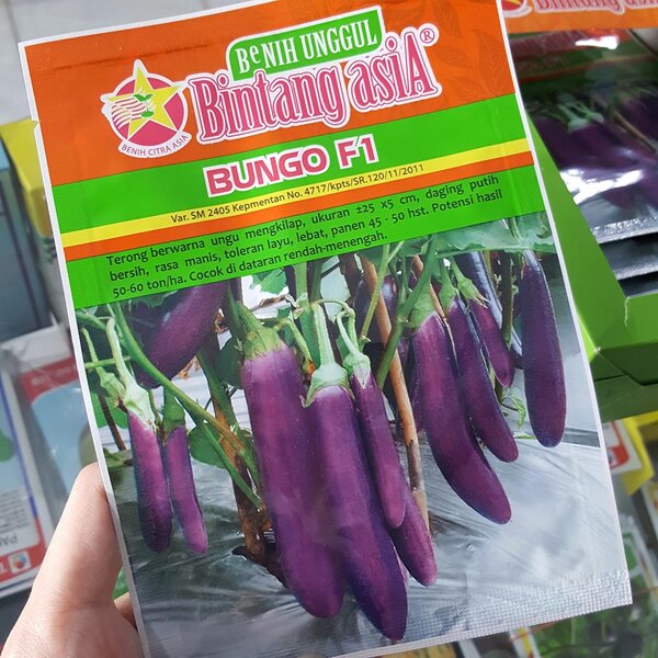 Jual Benih Terong Bungo F1 5 gram Bintang Asia Bibit Online