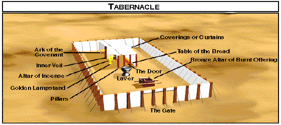 Concise Old Testament Survey