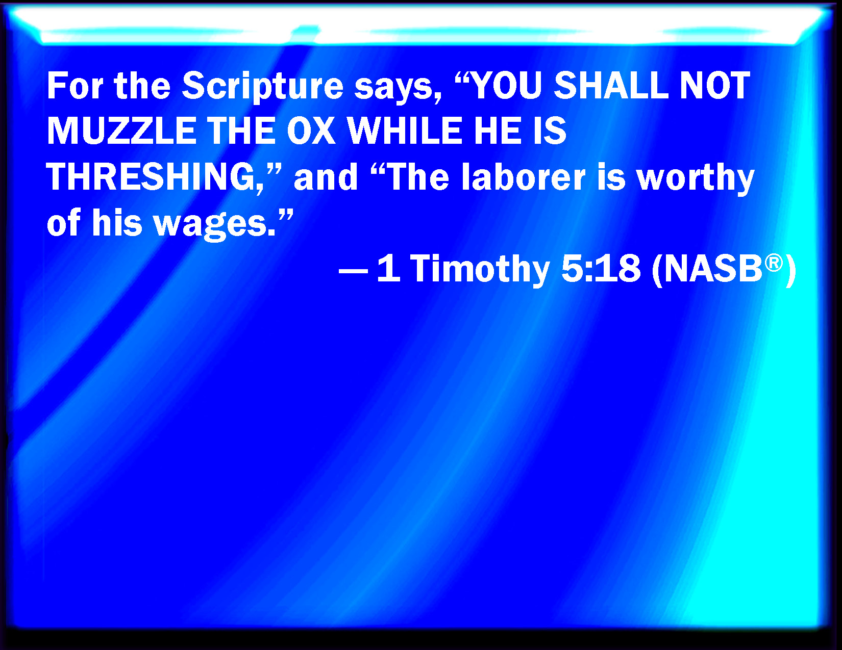 1 Timothy 518 For the scripture said, You shall not muzzle the ox that
