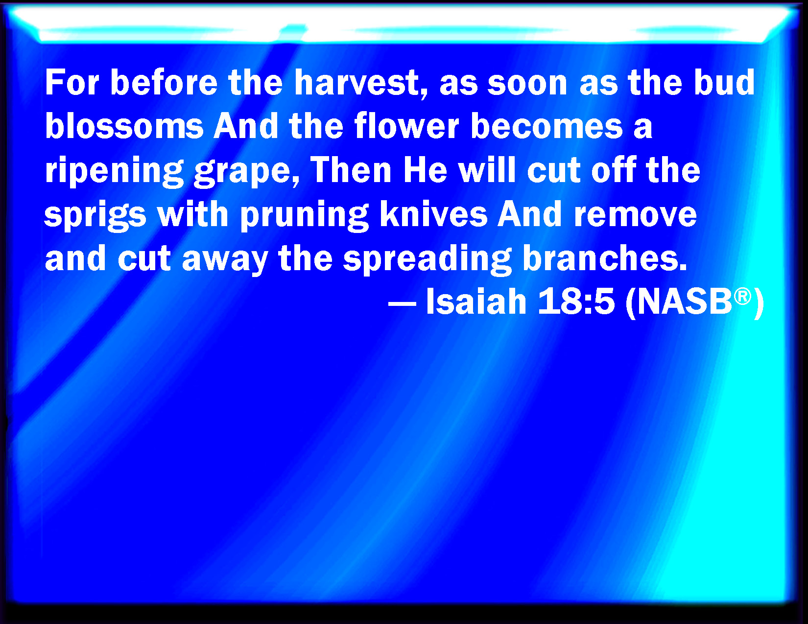 Isaiah 185 For before the harvest, when the bud is perfect, and the