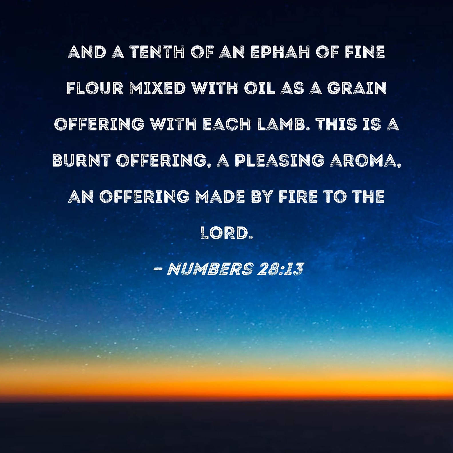 Numbers 2813 and a tenth of an ephah of fine flour mixed with oil as a