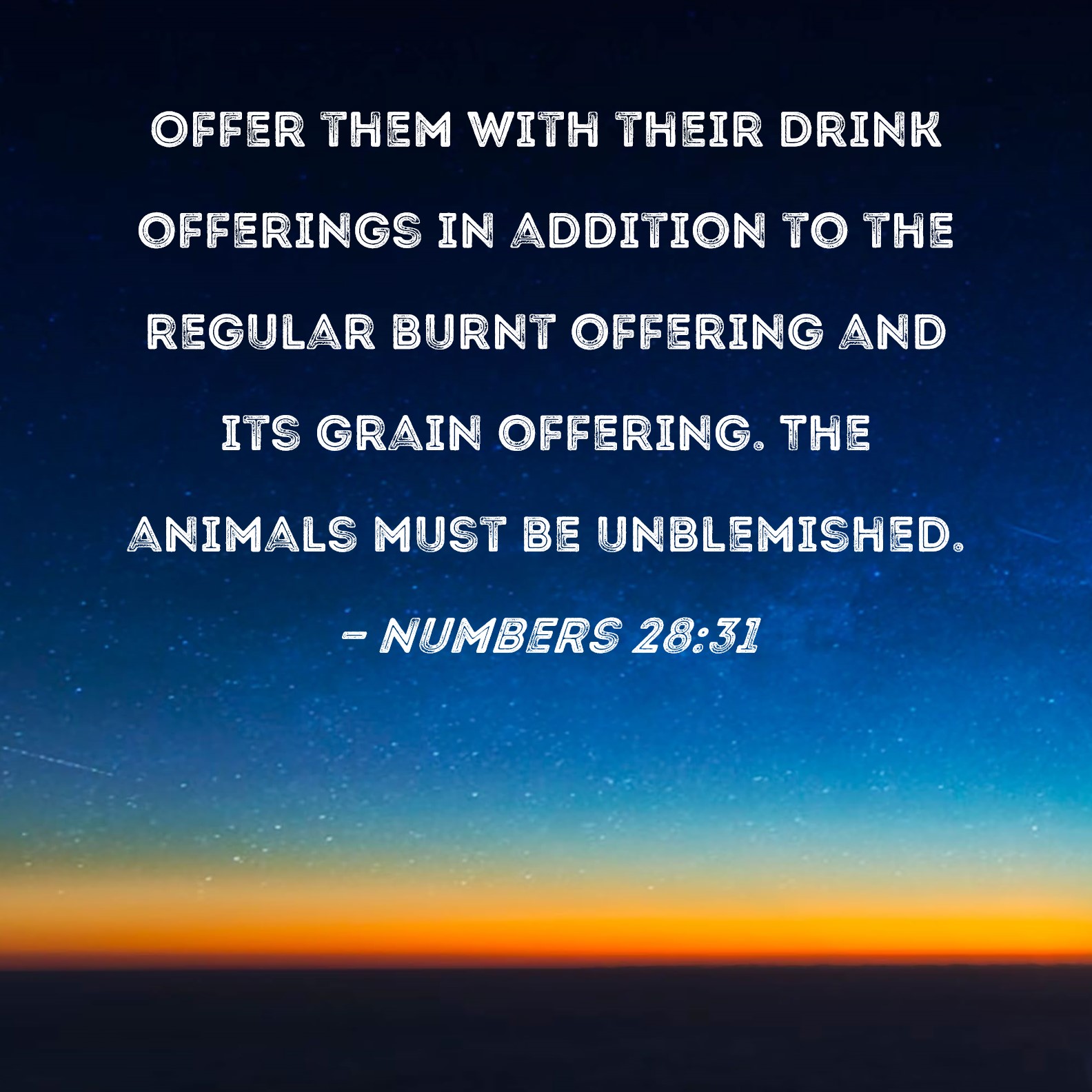 Numbers 2831 Offer them with their drink offerings in addition to the