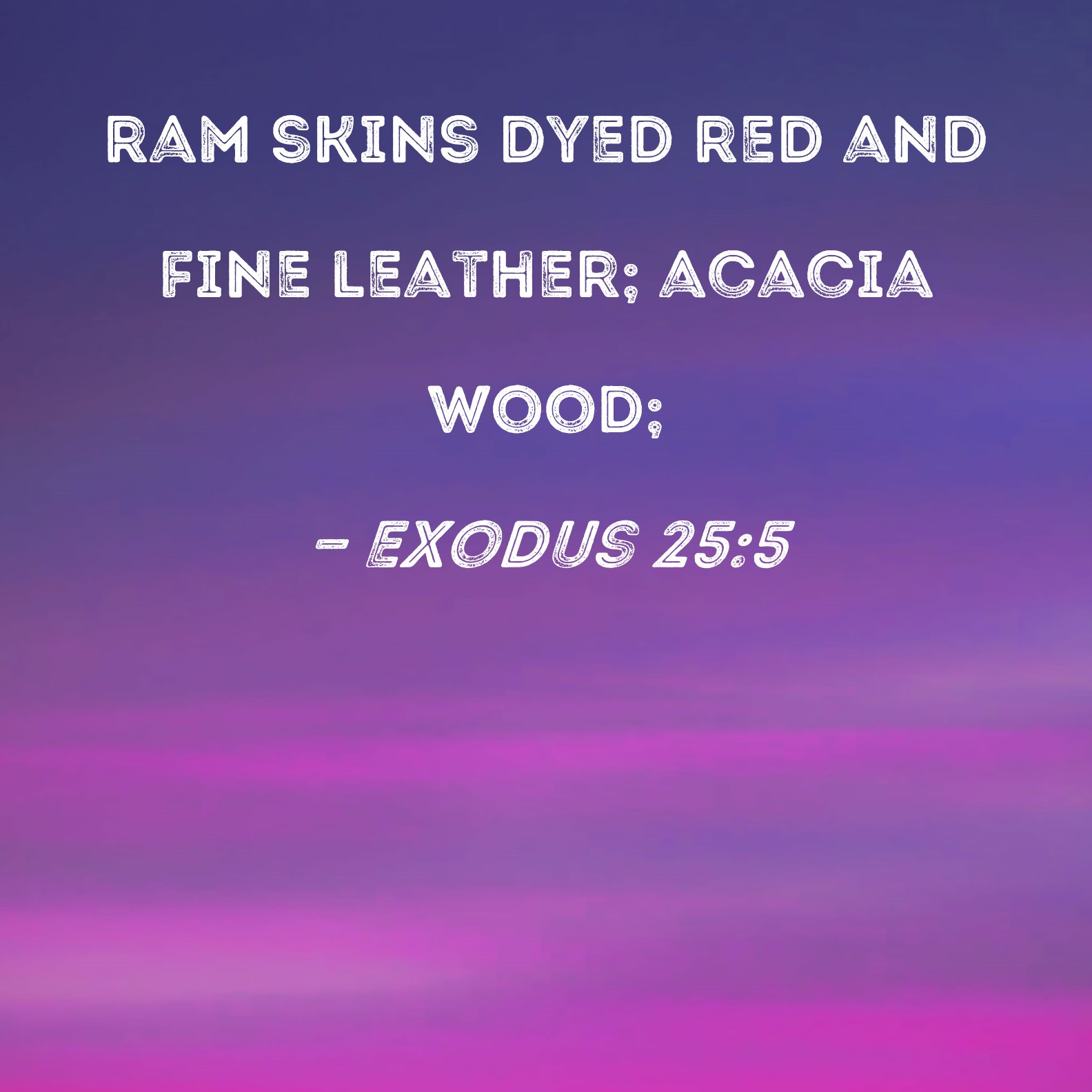 Exodus 255 ram skins dyed red and fine leather; acacia wood;