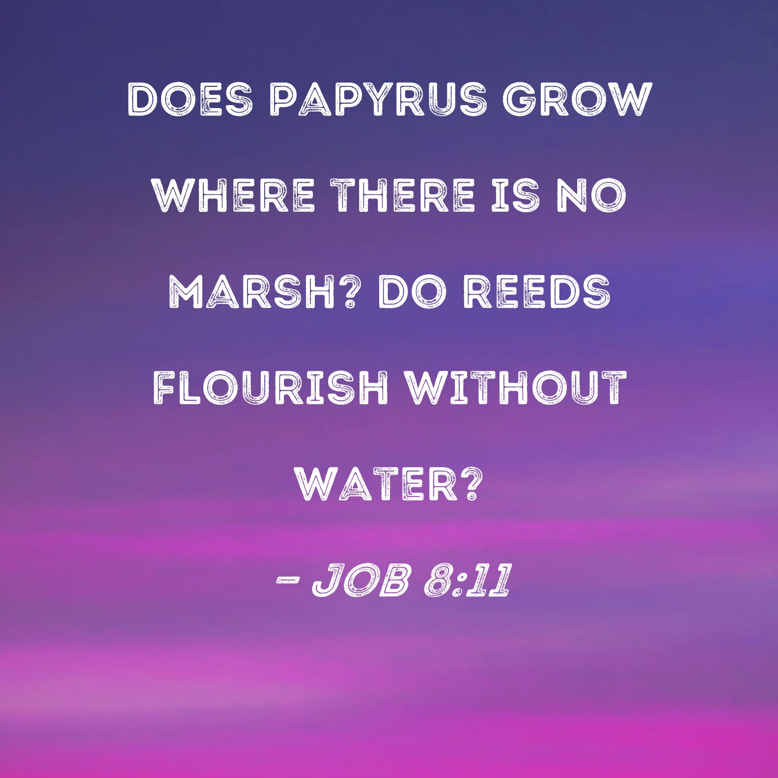 Job 811 Does papyrus grow where there is no marsh? Do reeds flourish