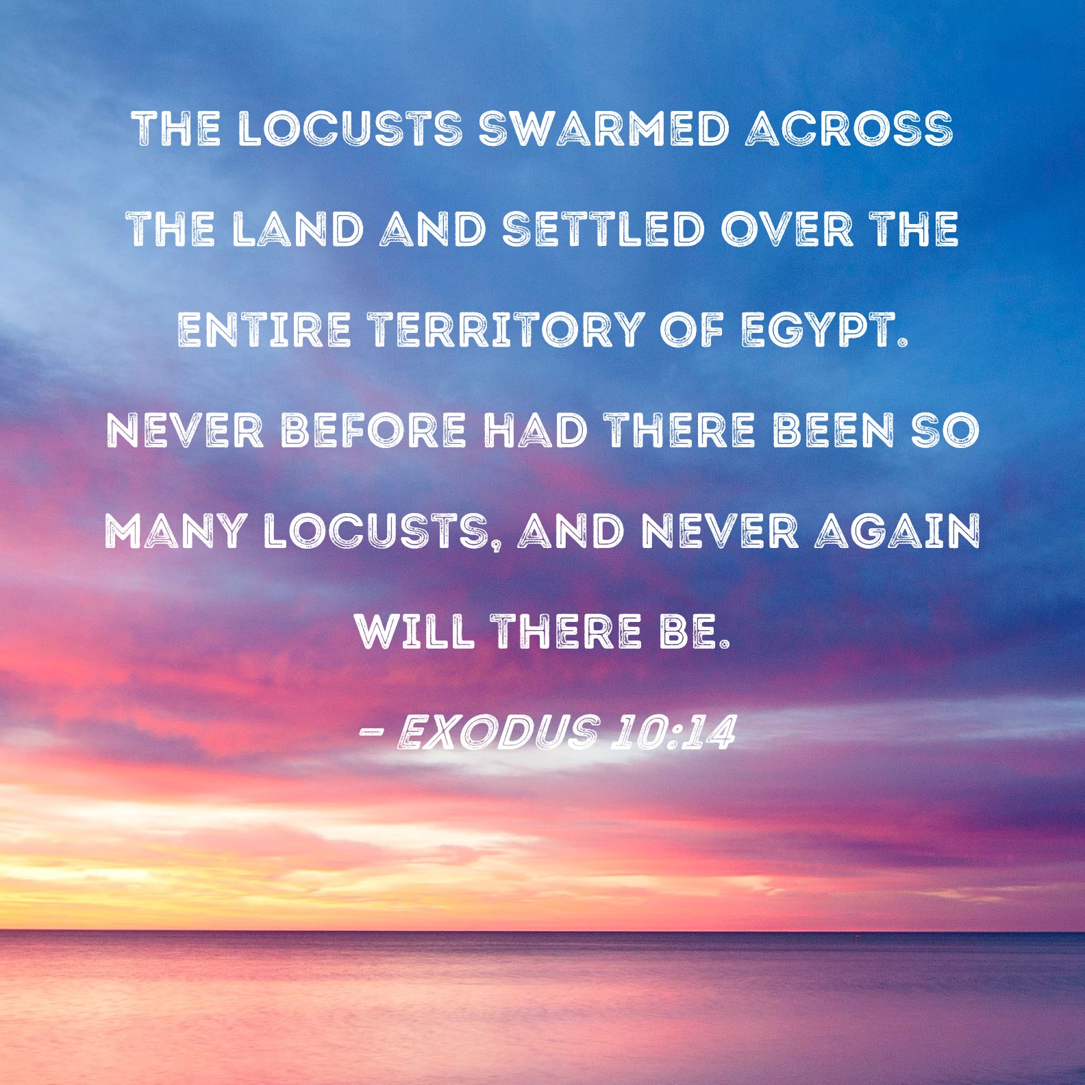 Exodus 1014 The locusts swarmed across the land and settled over the