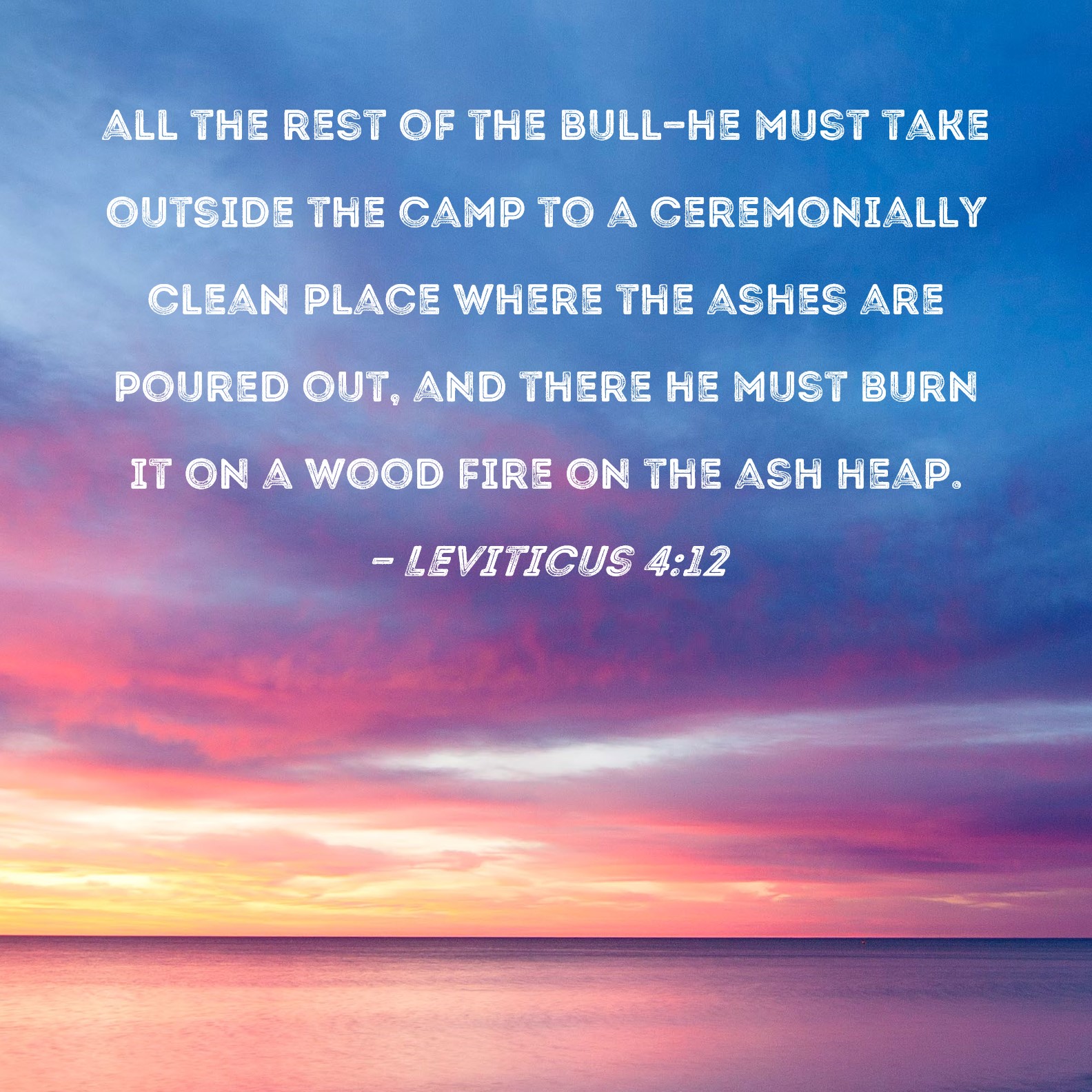 Leviticus 412 all the rest of the bullhe must take outside the camp