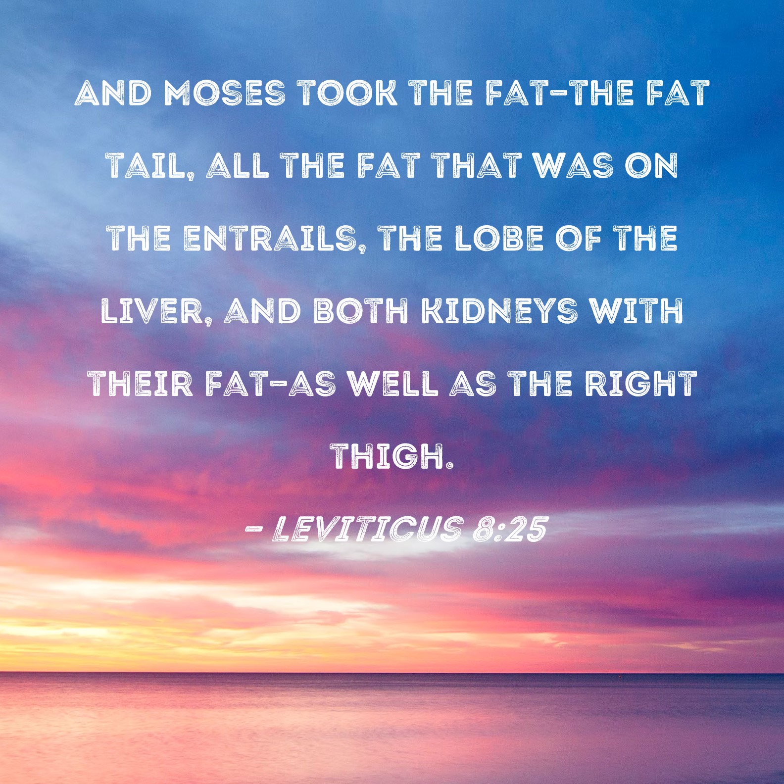 Leviticus 825 And Moses took the fatthe fat tail, all the fat that