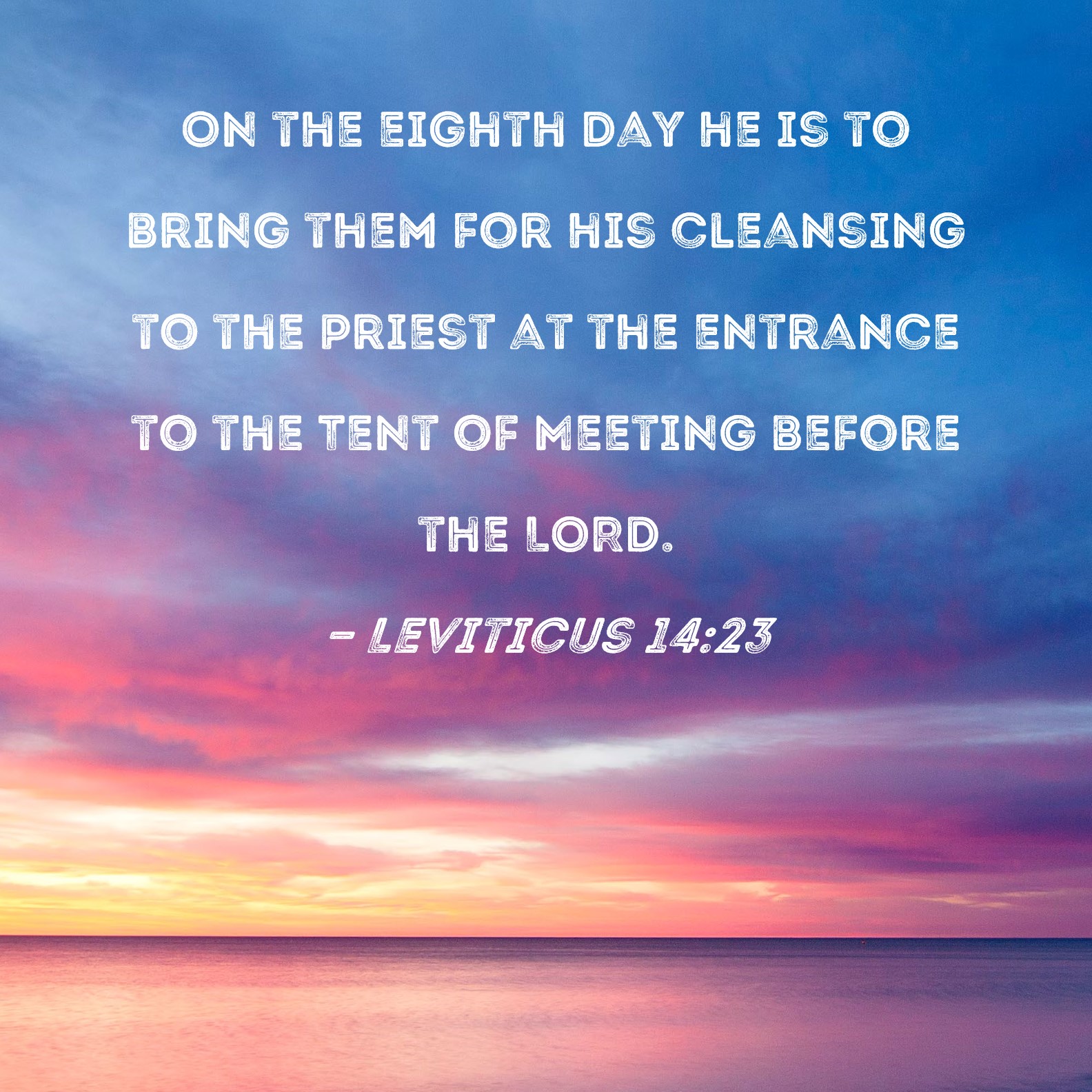 Leviticus 1423 On the eighth day he is to bring them for his cleansing