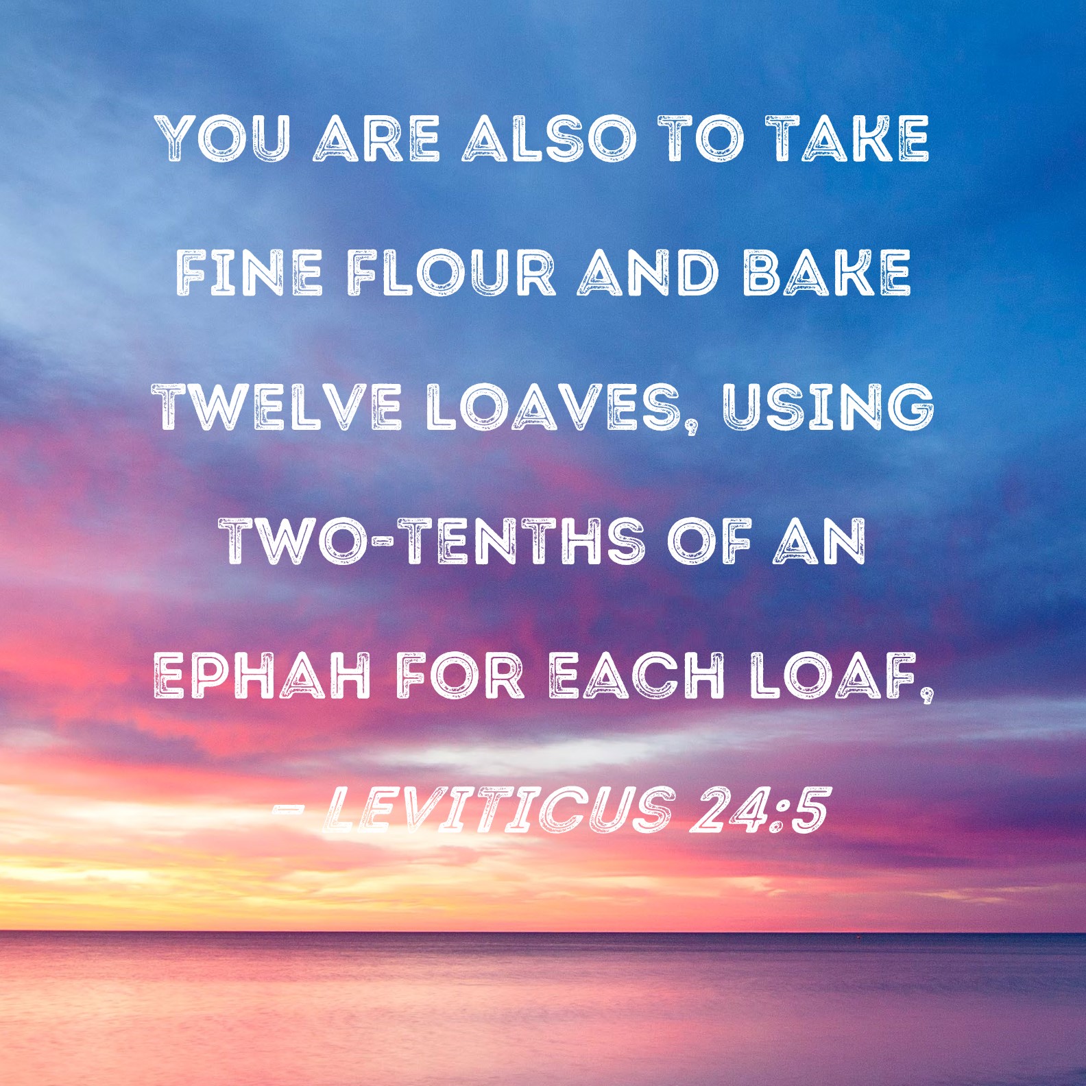 Leviticus 245 You are also to take fine flour and bake twelve loaves
